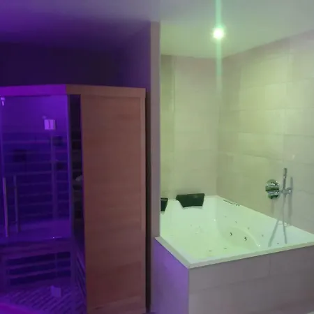 Nid A Bulles - Loft 35m2 Sauna Jacuzzi 10min Centre Strasbourg *