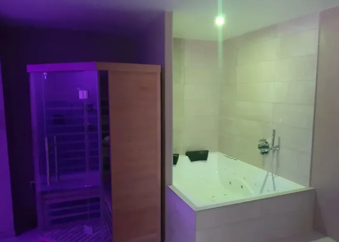 Nid A Bulles - Loft 35m2 Sauna Jacuzzi 10min Centre Strasbourg *