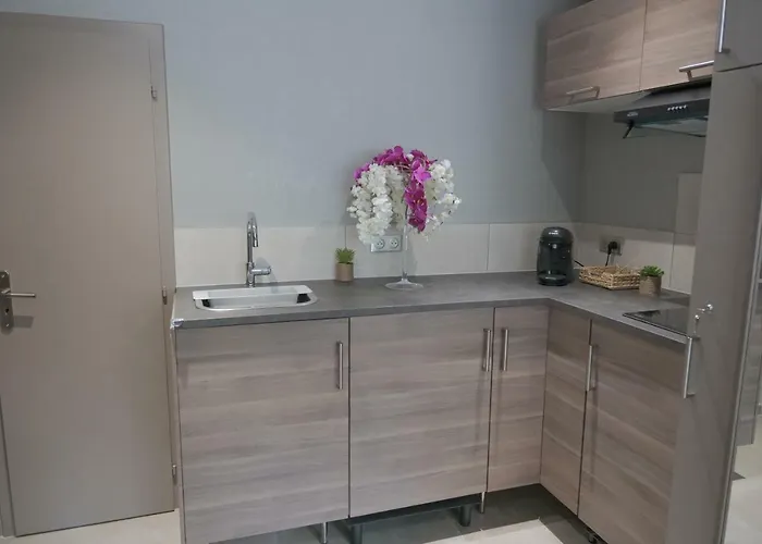 Apartment Nid A Bulles - Loft 35m2 Sauna Jacuzzi 10min Centre Strasbourg *