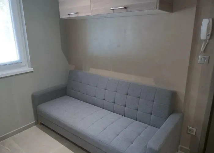 Nid A Bulles - Loft 35m2 Sauna Jacuzzi 10min Centre Strasbourg Apartment Bischheim